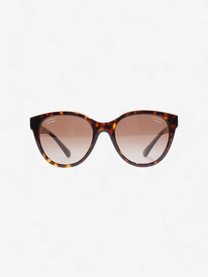  Wayfarer Frame Sunglasses Tortoise  / Beige Acetate 140mm