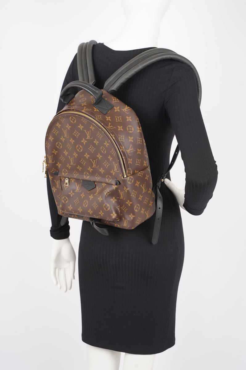 Louis Vuitton Monogram Canvas Palm Springs PM Backpack - My Luxury Bargain  South Africa