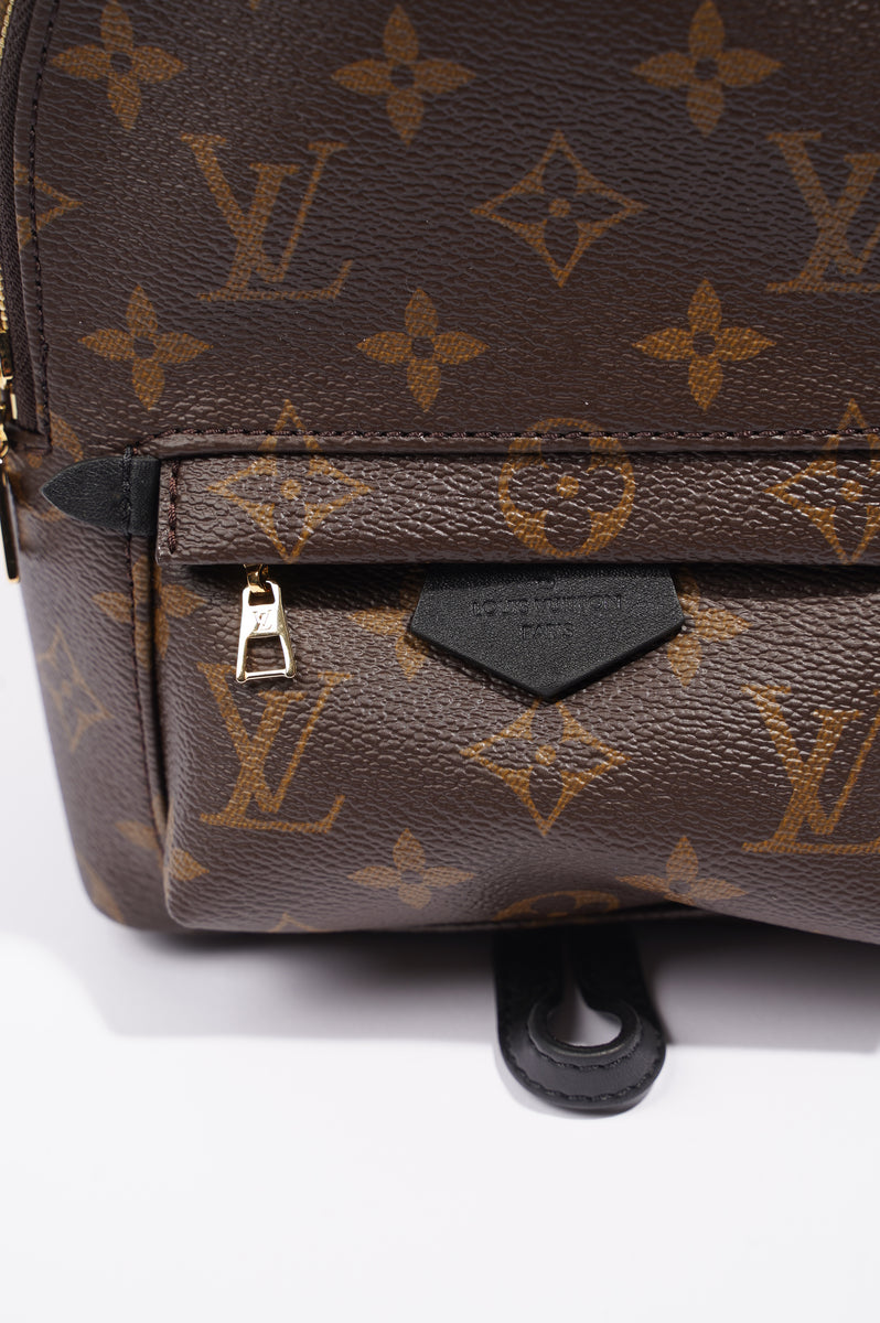 Louis Vuitton Womens Palm Spring Bag Monogram Canvas Mini – Luxe Collective