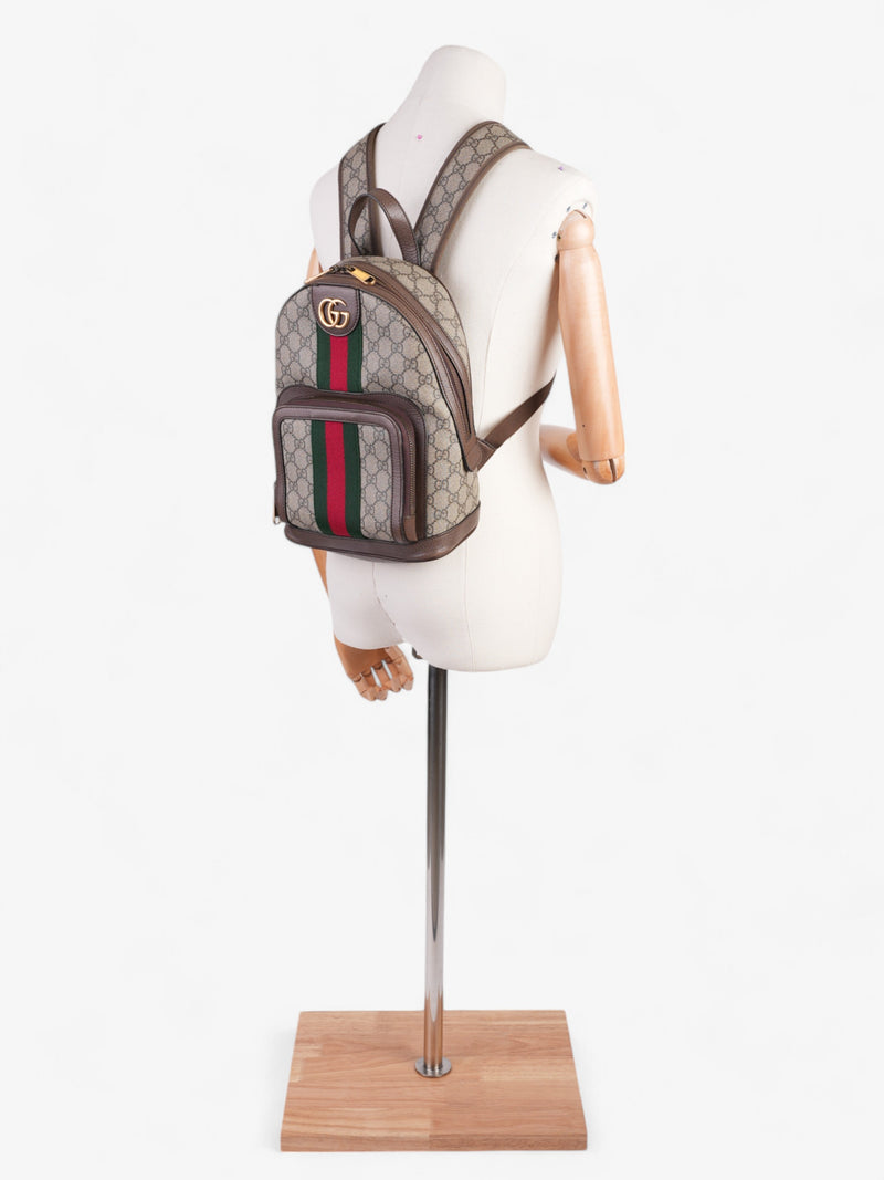  Gucci Ophidia Backpack Supreme / Green Coated Canvas Small