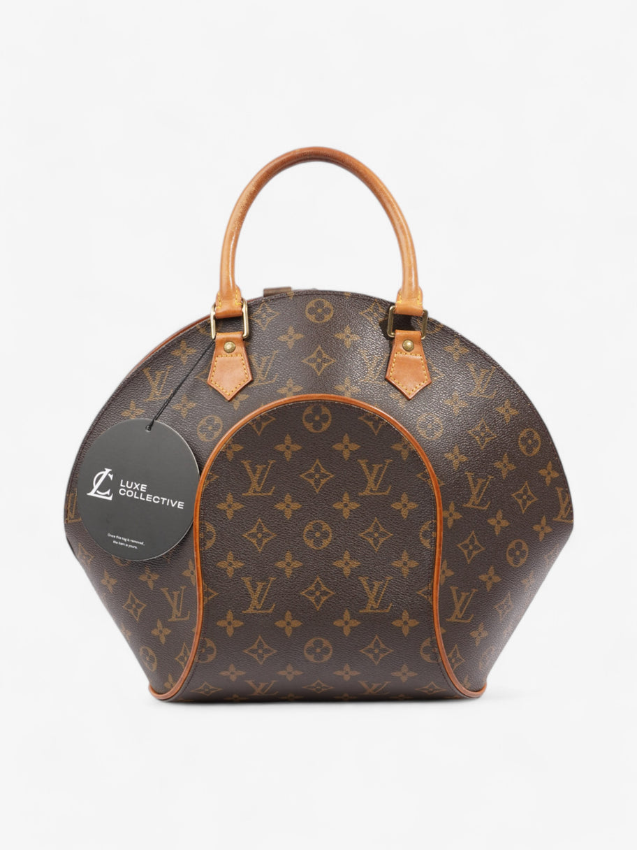 Louis Vuitton Ellipse Monogram Coated Canvas MM Image 16