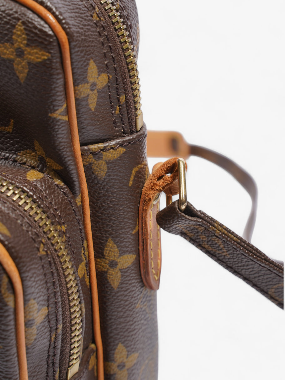 Louis Vuitton Amazon Monogram Coated Canvas Image 8