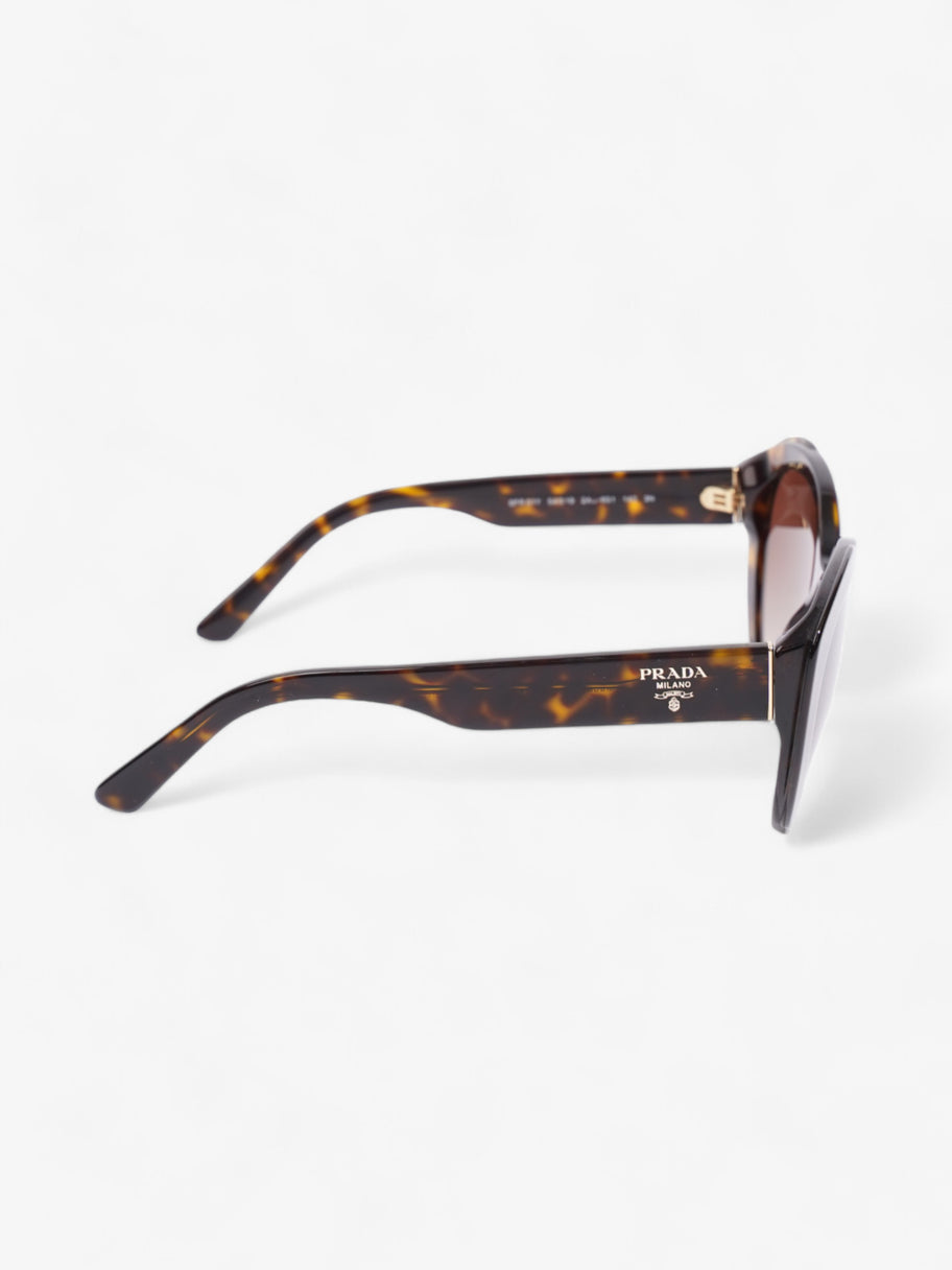 Prada Circular Sunglasses Tortoise  Acetate 140mm Image 4