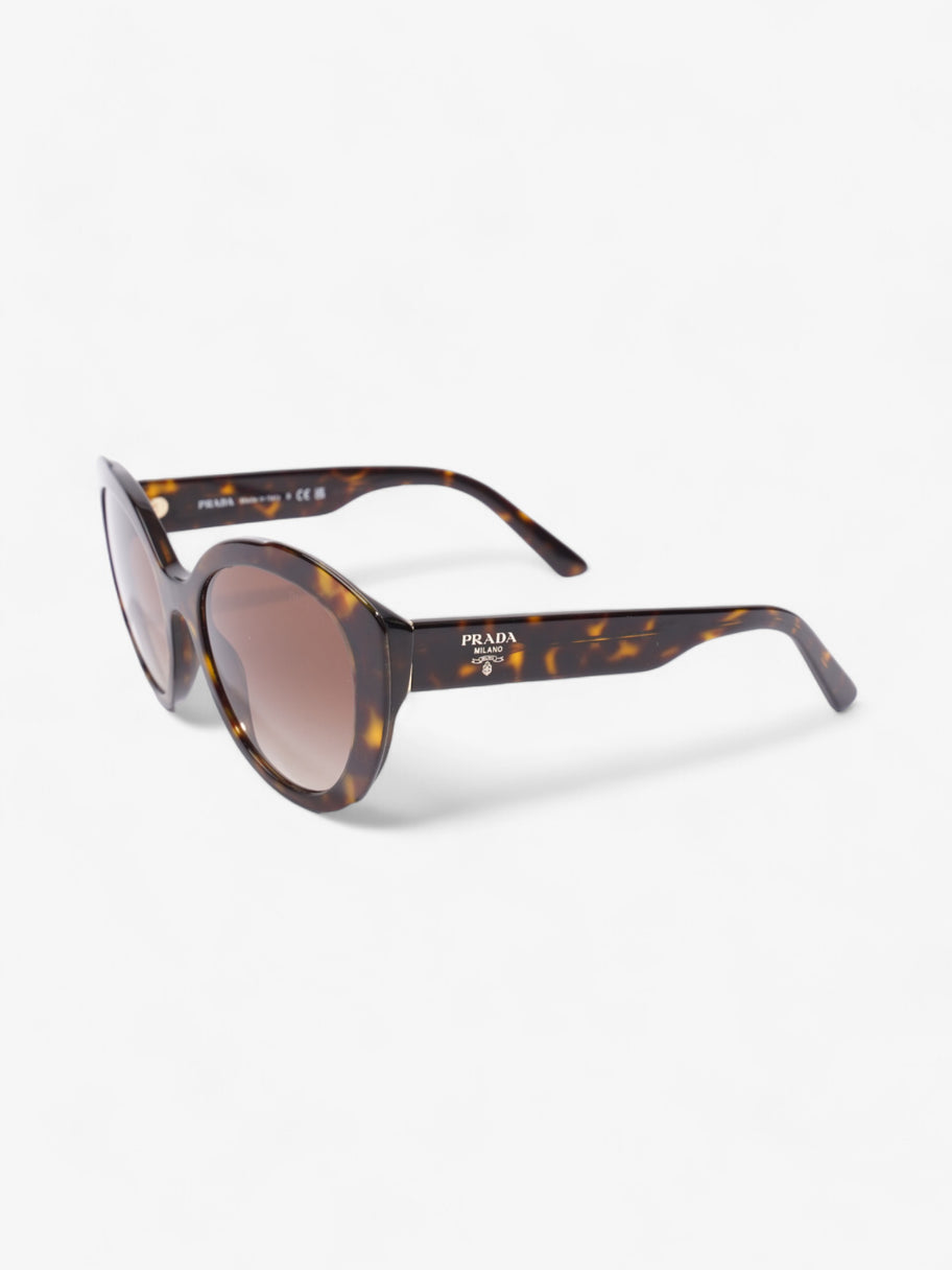 Prada Circular Sunglasses Tortoise  Acetate 140mm Image 5