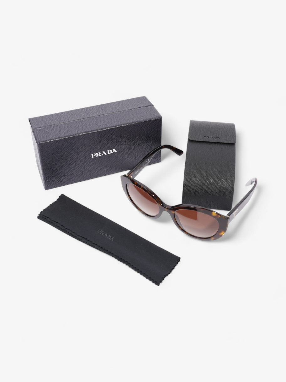 Prada Circular Sunglasses Tortoise  Acetate 140mm Image 6