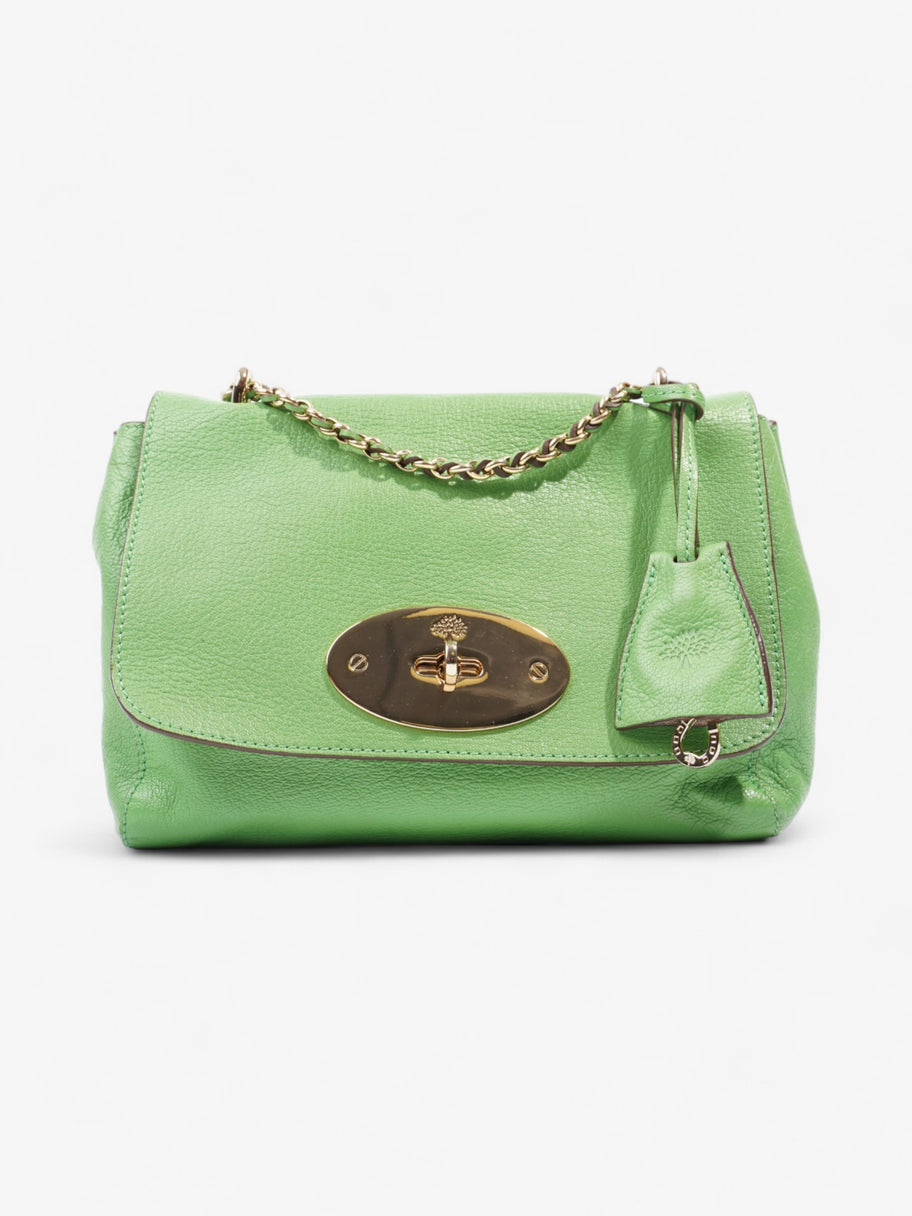 Mulberry Lily Green Leather Small Image 1