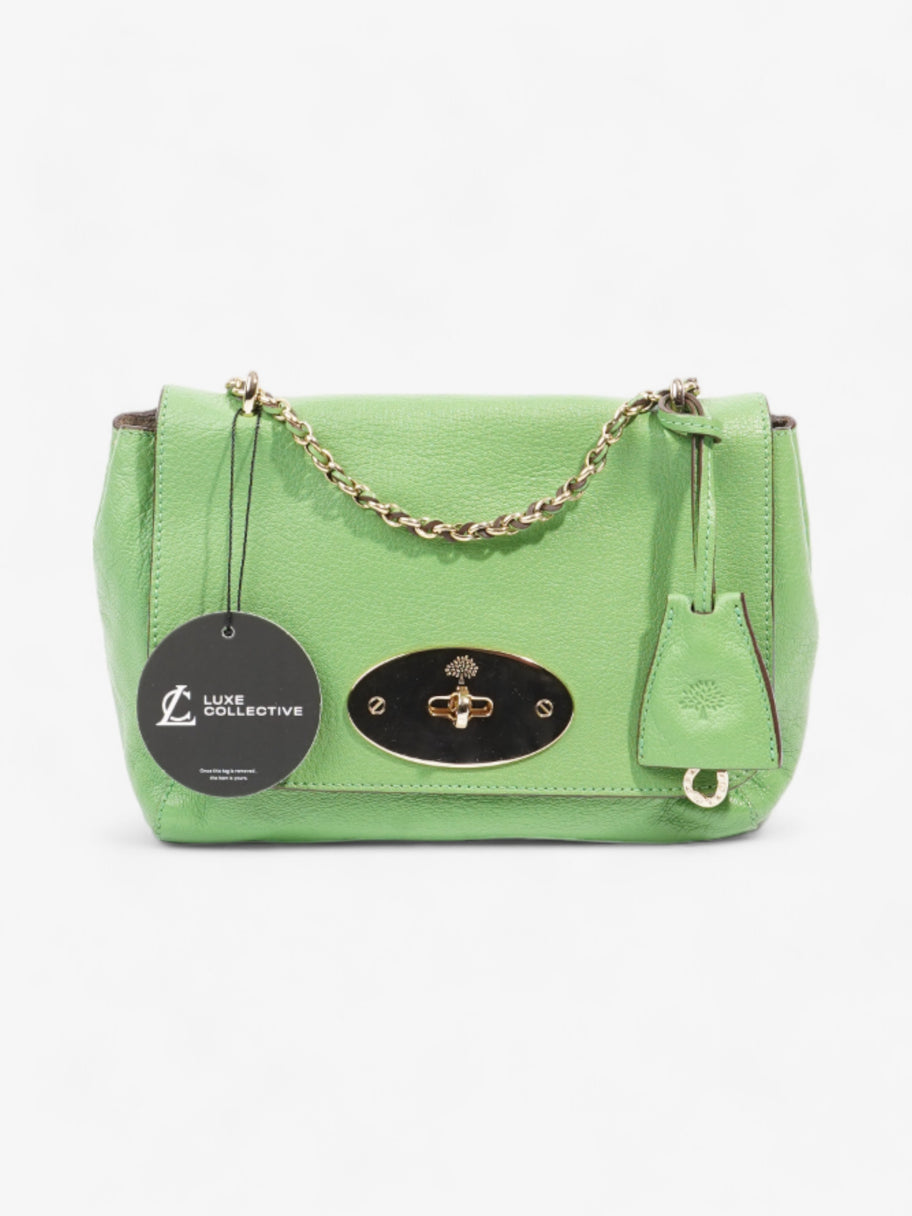 Mulberry Lily Green Leather Small Image 8