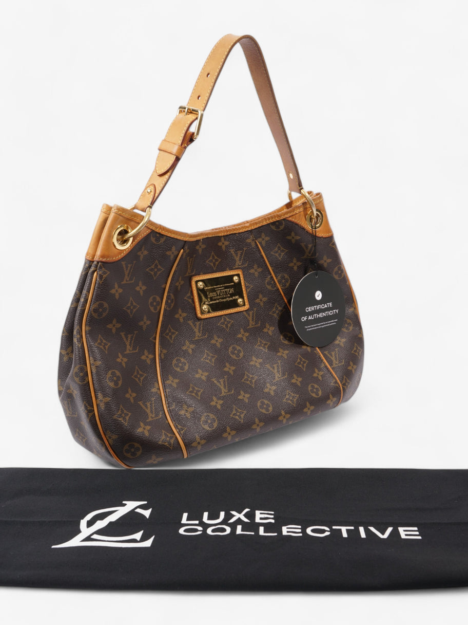 Louis Vuitton Galliera Monogram / Brown Coated Canvas PM Image 9