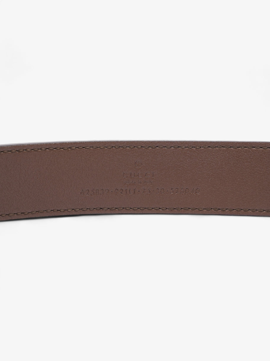 Gucci GG Marmont Thin Belt GG Supreme / Brown Leather 75cm / 30