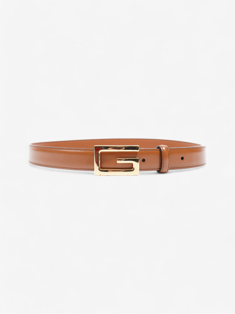  Gucci Web Belt Brown 80cm 32