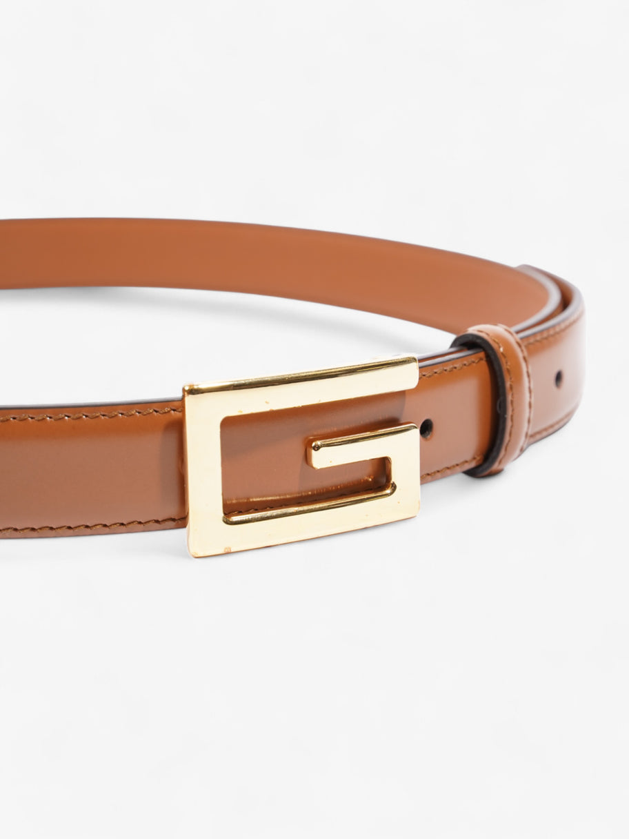 Gucci Web Belt Brown 80cm 32