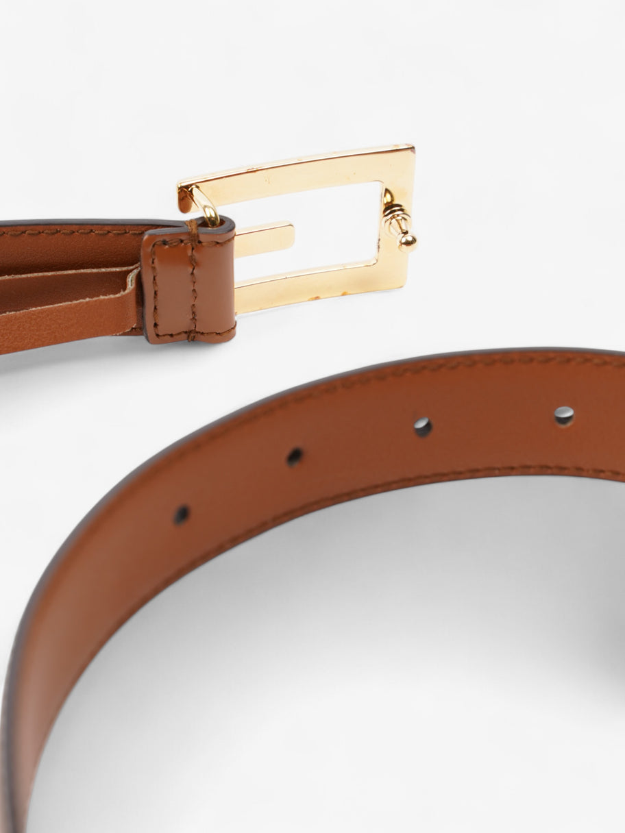 Gucci Web Belt Brown 80cm 32