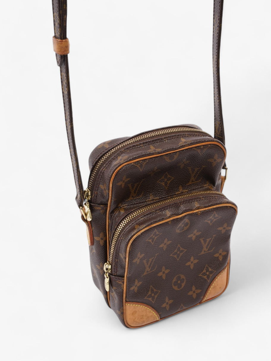 Louis Vuitton Amazon Monogram Canvas Image 7