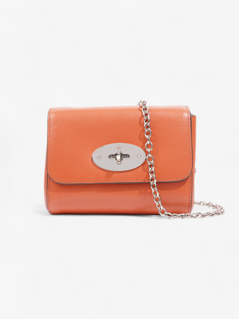  Mulberry Lily Pumpkin Calfskin Leather Mini