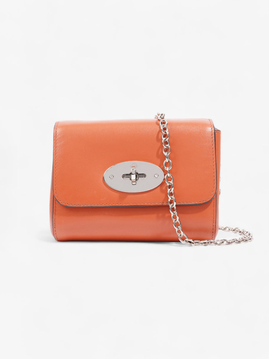 Mulberry Lily Pumpkin Calfskin Leather Mini Image 1