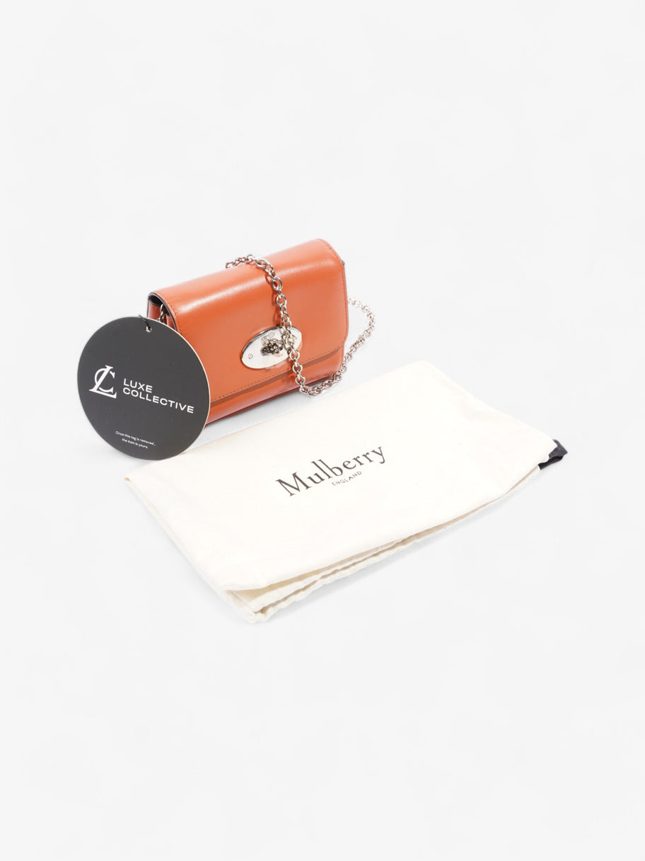 Mulberry Lily Pumpkin Calfskin Leather Mini Image 9