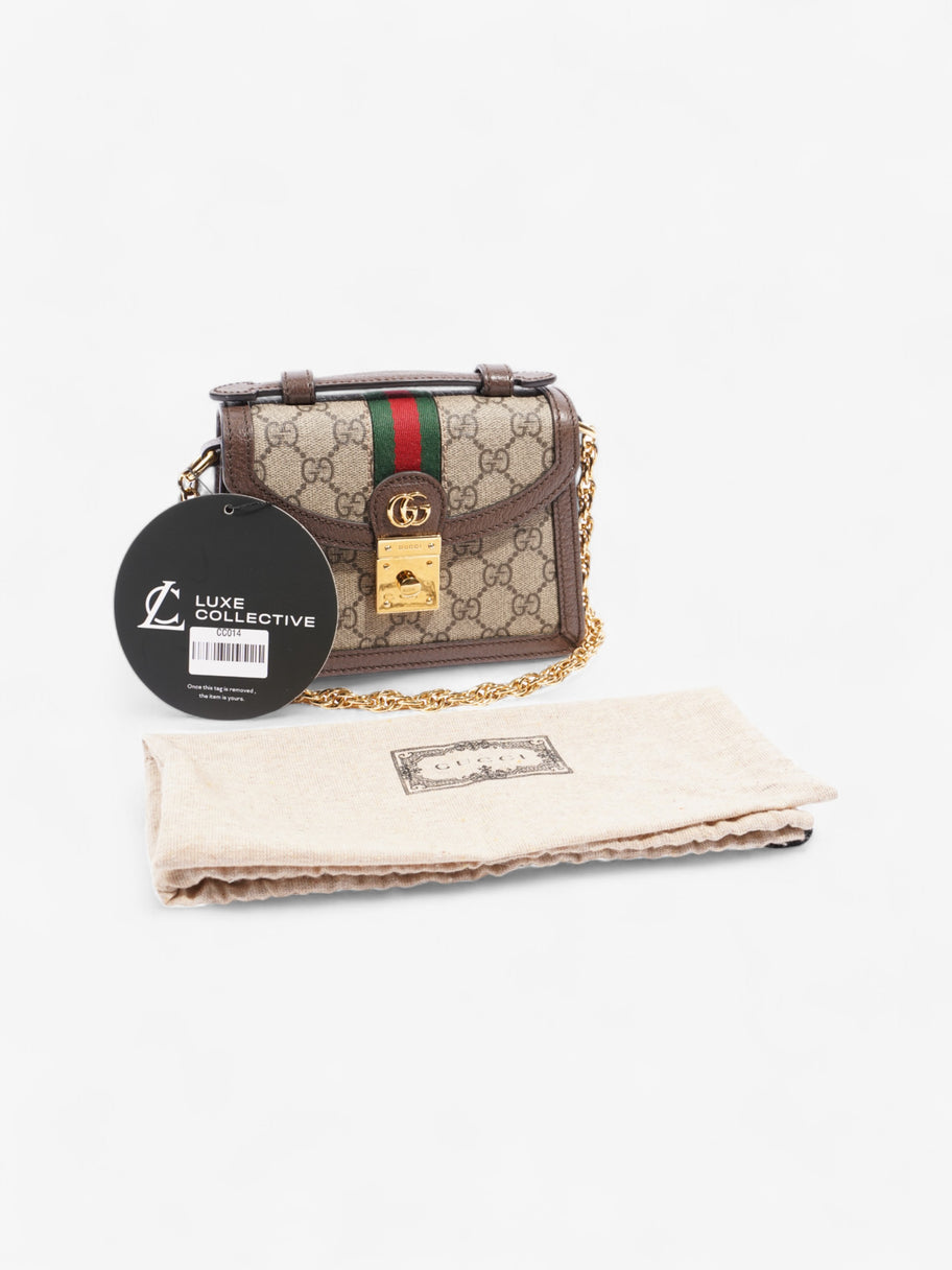 Gucci Ophidia GG GG Supreme / Brown Canvas Mini Image 8