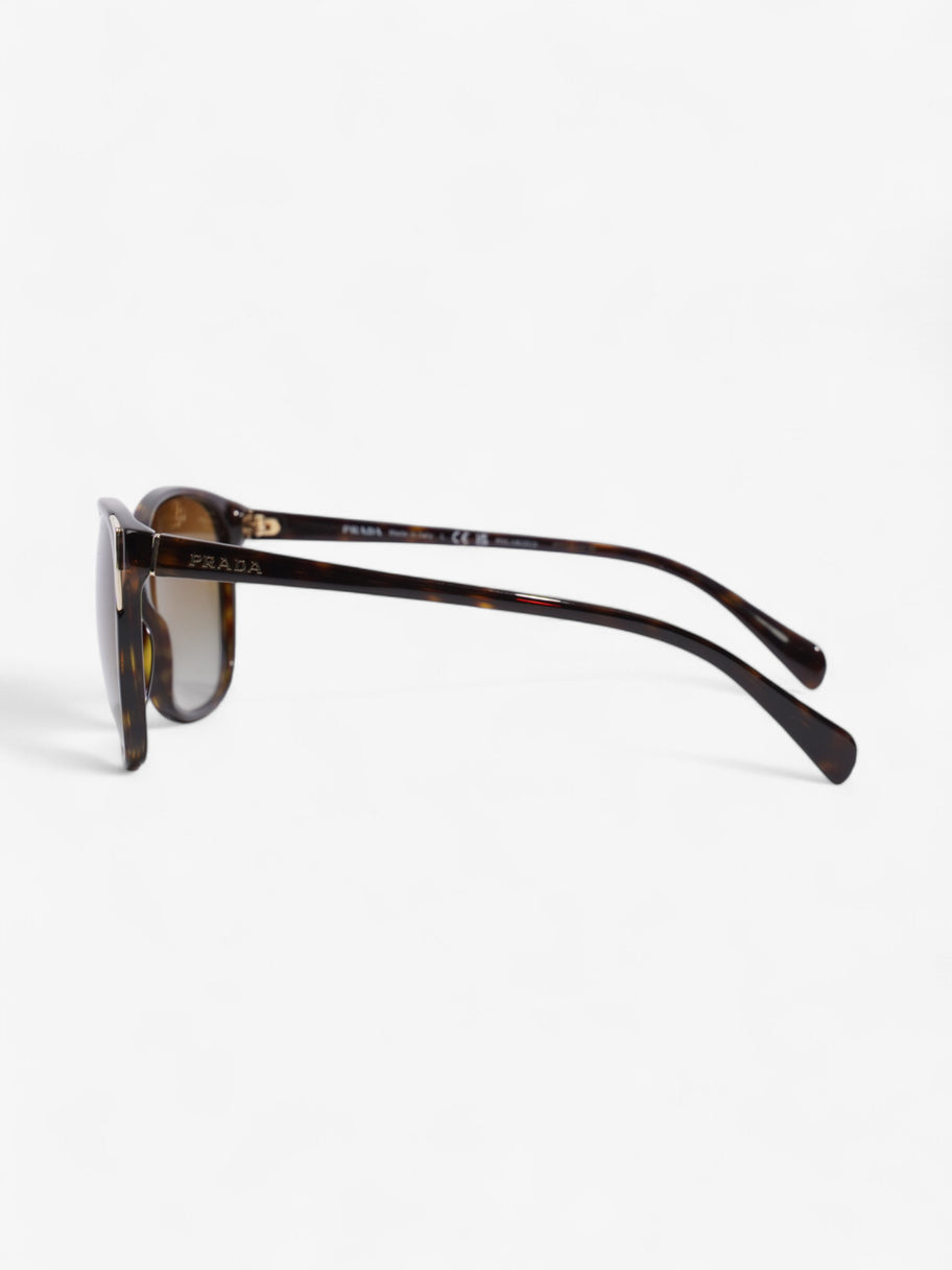 Prada Square Framed Sunglasses Tortoise  / Light Gold Acetate 140mm Image 2