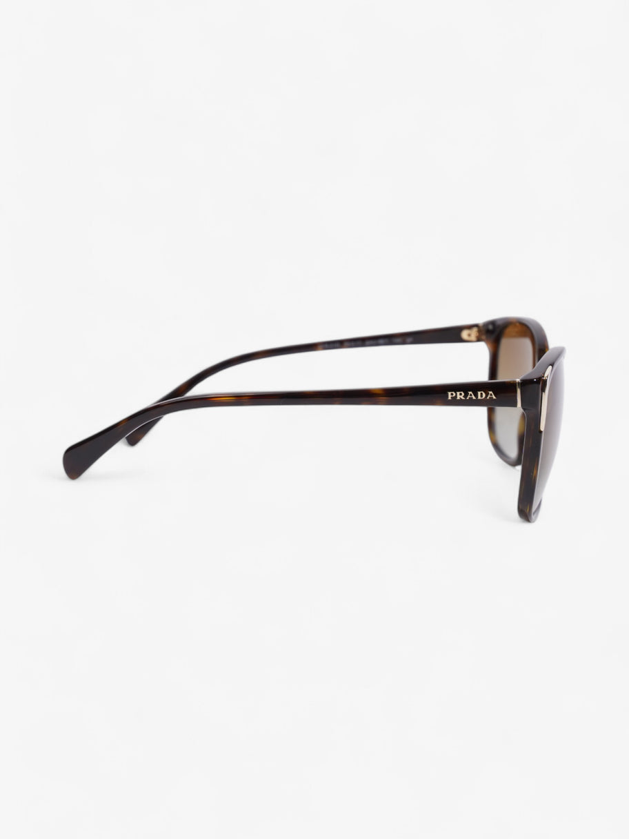 Prada Square Framed Sunglasses Tortoise  / Light Gold Acetate 140mm Image 4