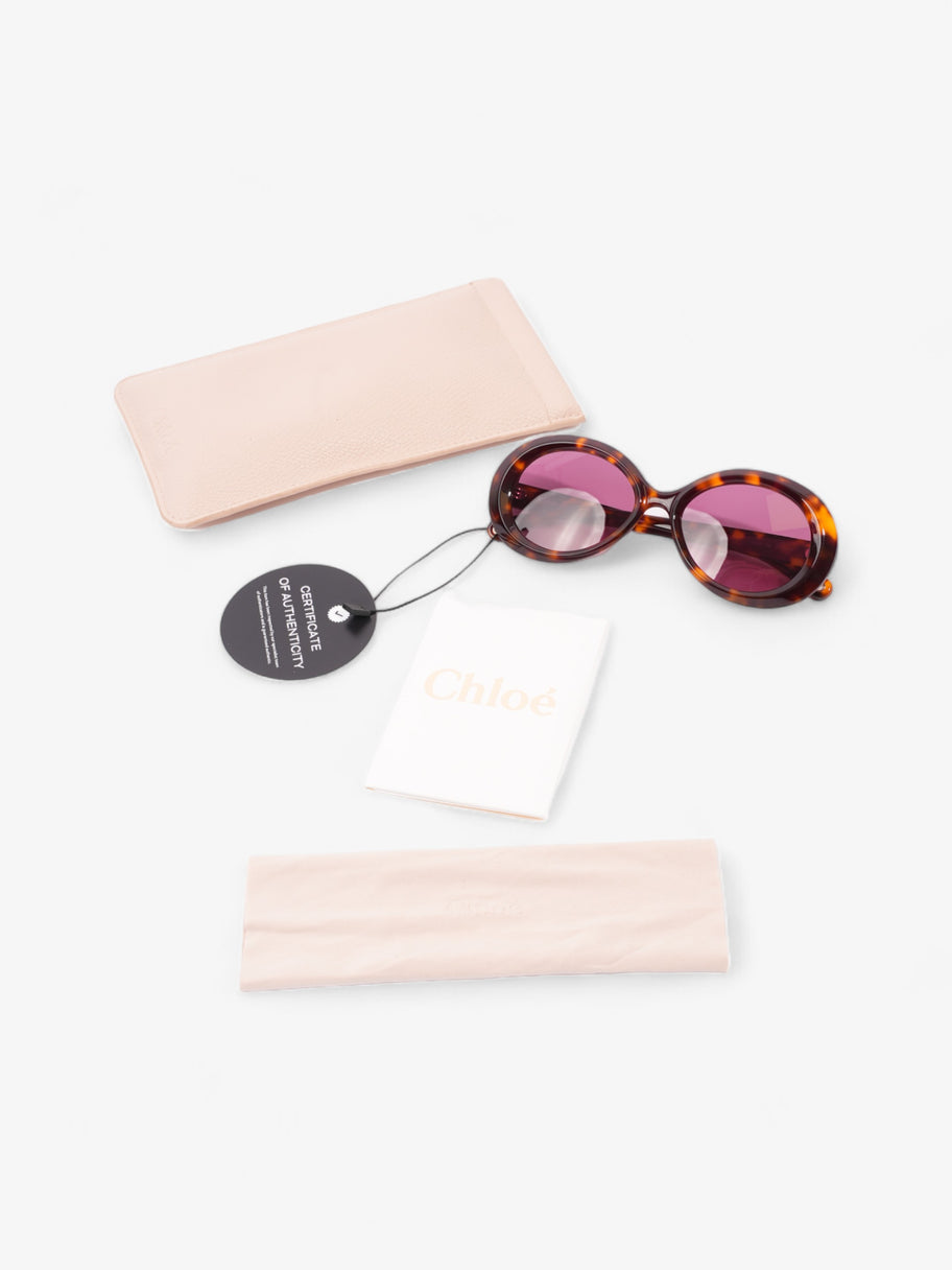 Chloe Osco Sunglasses Tortoise  Acetate 145mm Image 9