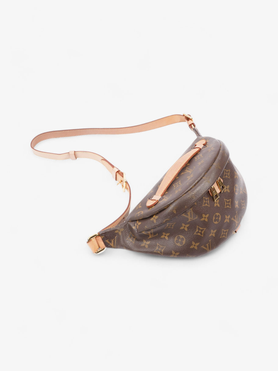 Louis Vuitton Bumbag Monogram Canvas Image 8