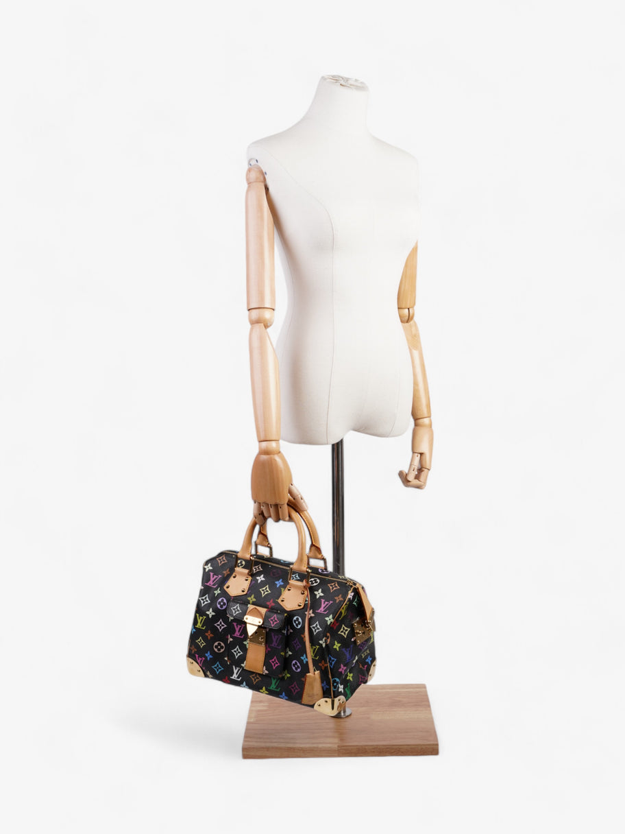 Louis Vuitton x Takashi Murakami Speedy Black / Monogram Multicolour Coated Canvas 30 Image 2