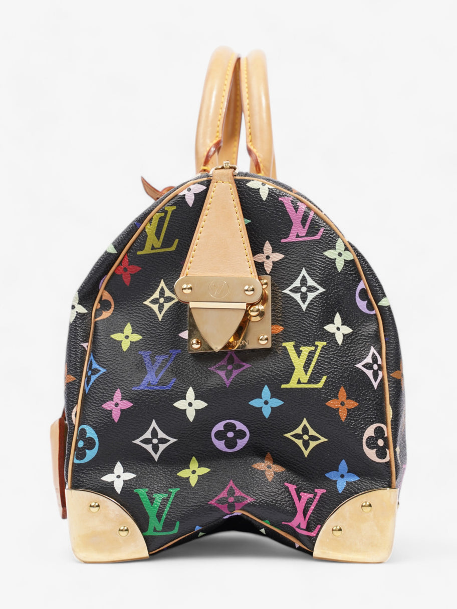 Louis Vuitton x Takashi Murakami Speedy Black / Monogram Multicolour Coated Canvas 30 Image 3