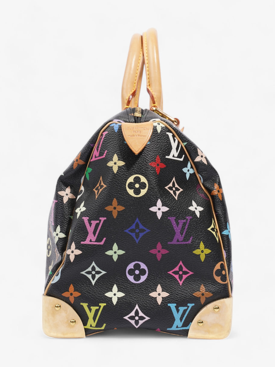 Louis Vuitton x Takashi Murakami Speedy Black / Monogram Multicolour Coated Canvas 30 Image 5