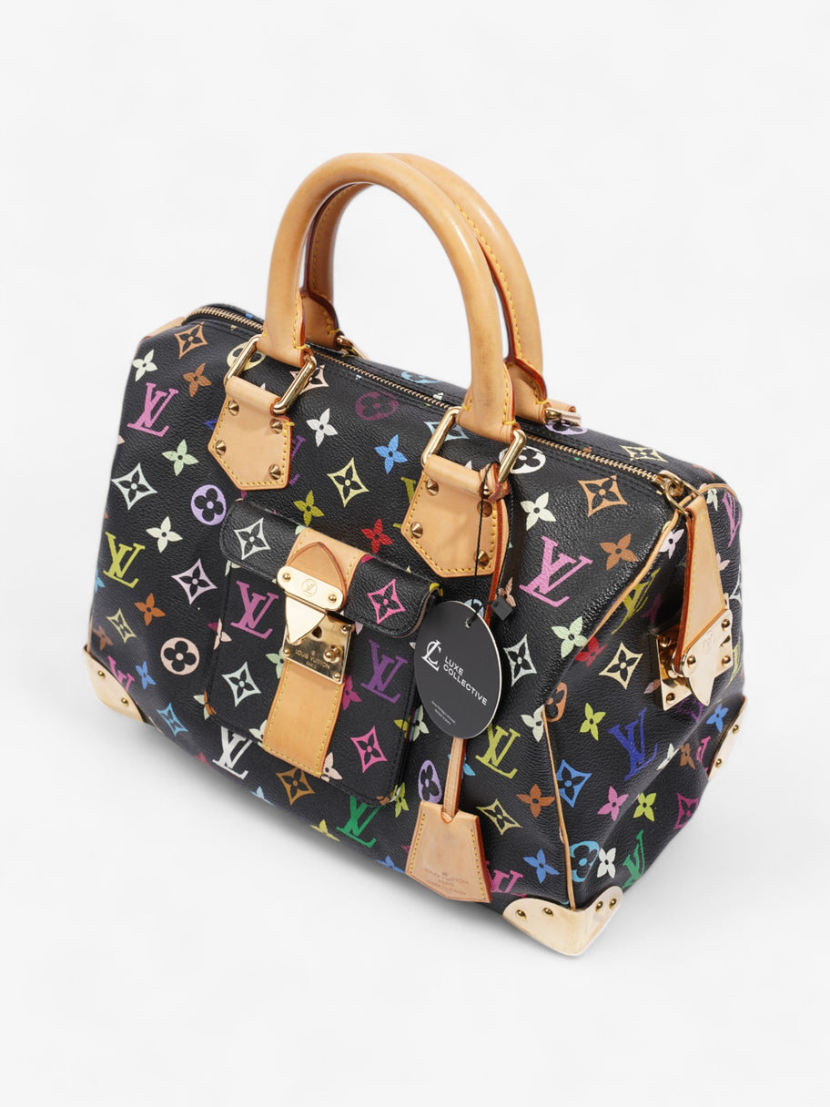 Louis Vuitton x Takashi Murakami Speedy Black / Monogram Multicolour Coated Canvas 30 Image 9