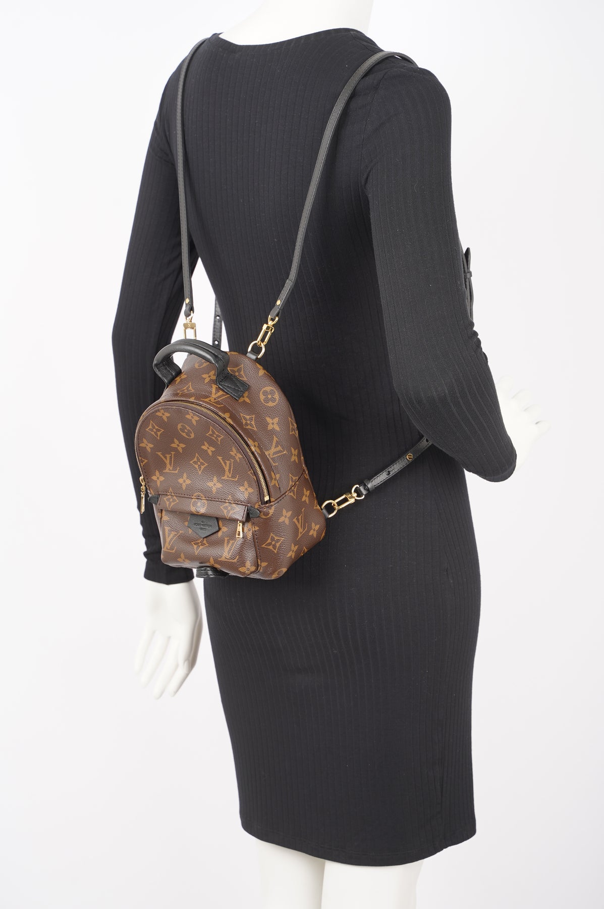 Louis Vuitton Womens Palm Spring Mini Monogram / Brown – Luxe