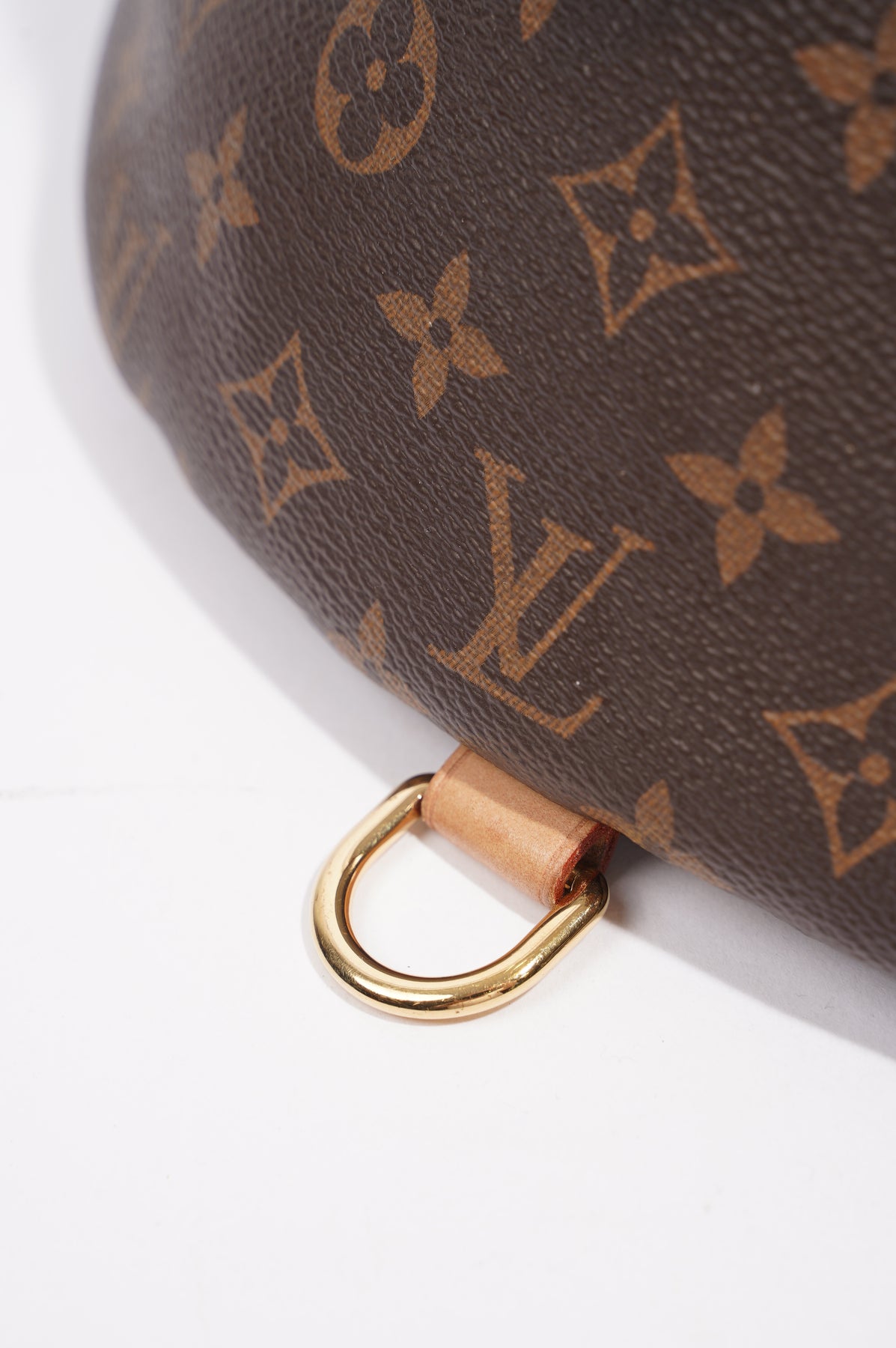 Buy Louis Vuitton Bum Bag Limited Edition Multicolor Monogram 170501