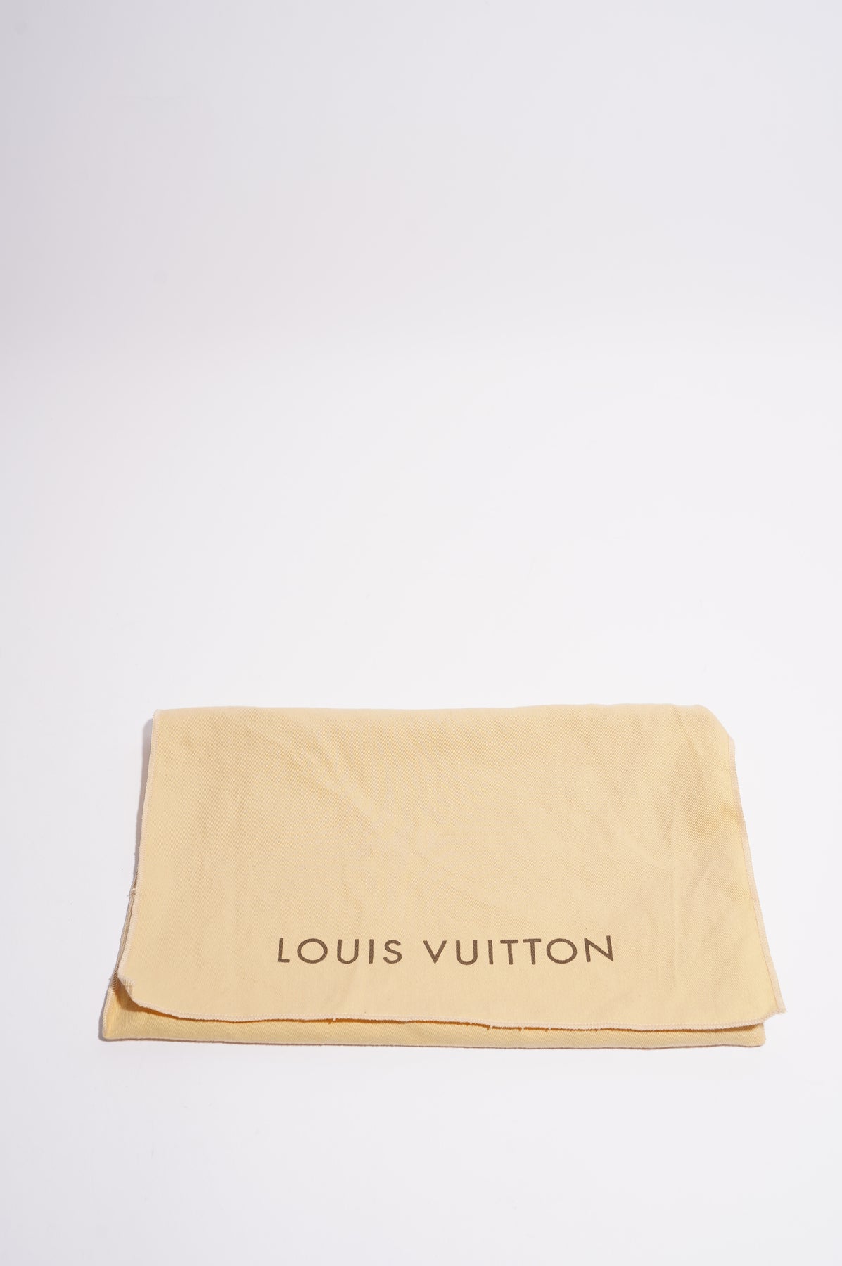 Louis Vuitton Damier Ebène Eva