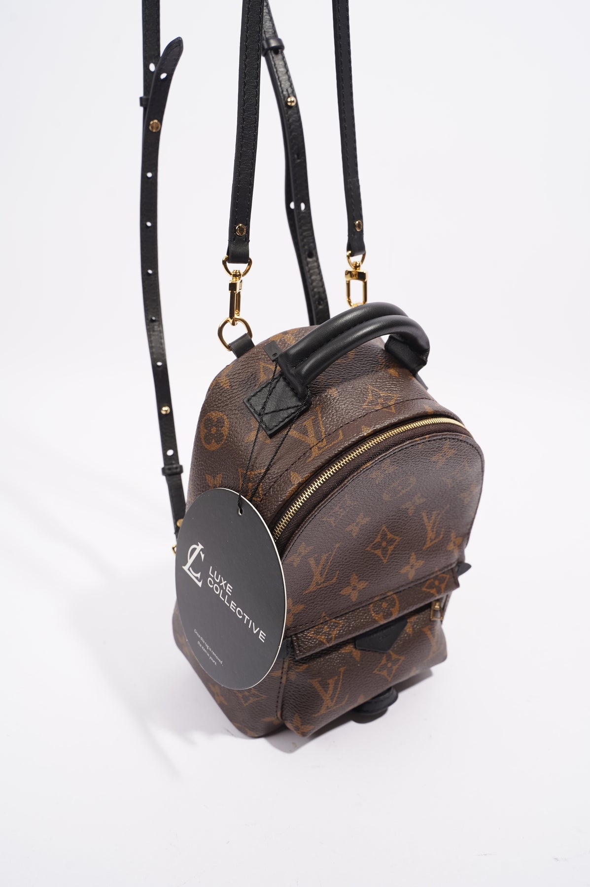 Louis Vuitton Palm Spring Backpack Monogram Canvas Mini – Luxe
