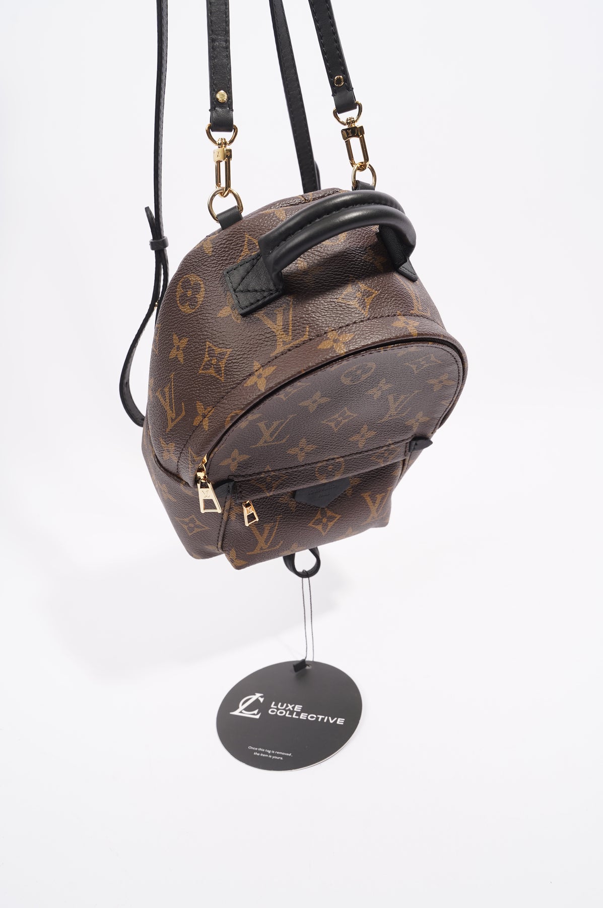 Louis Vuitton Womens Palm Spring Backpack Monogram Canvas Mini – Luxe  Collective