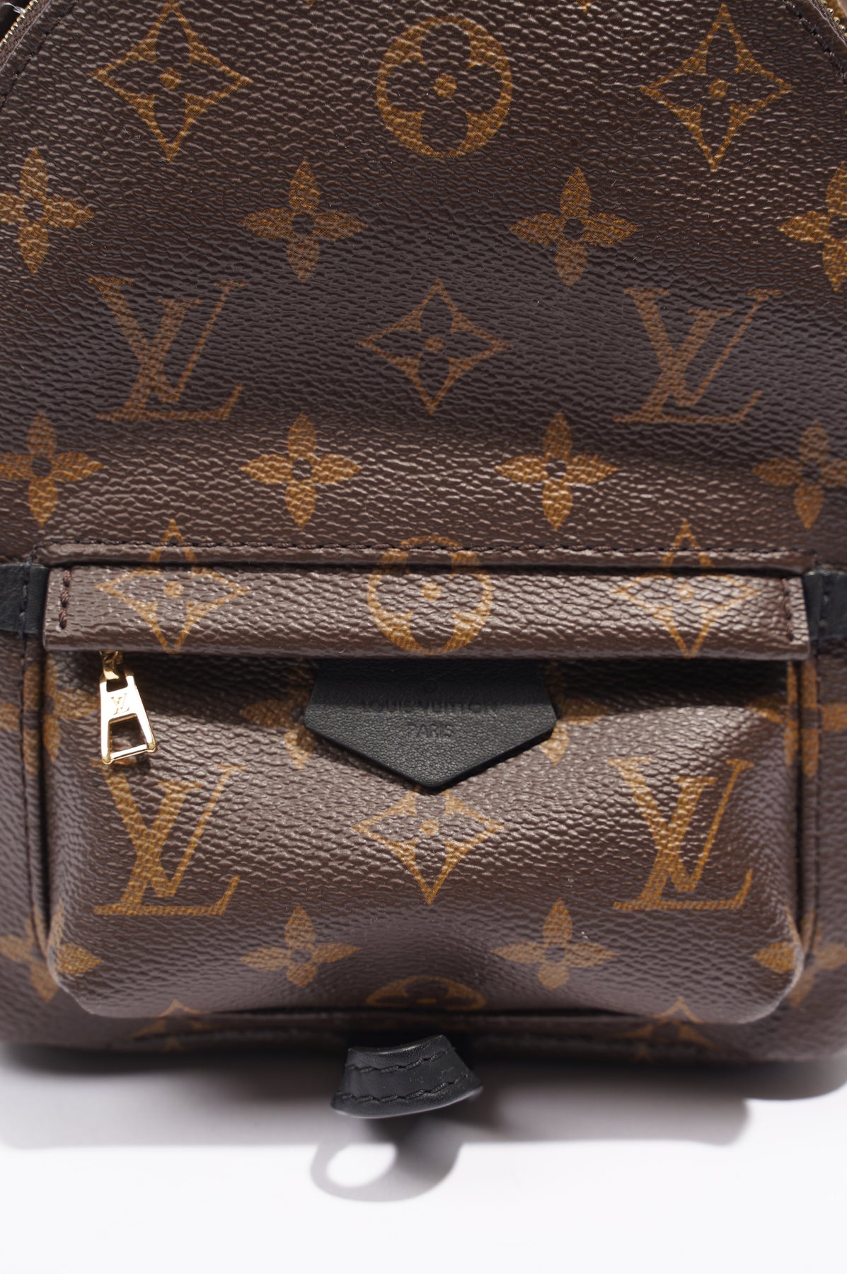 Louis Vuitton Mini Leather Monogram Backpack