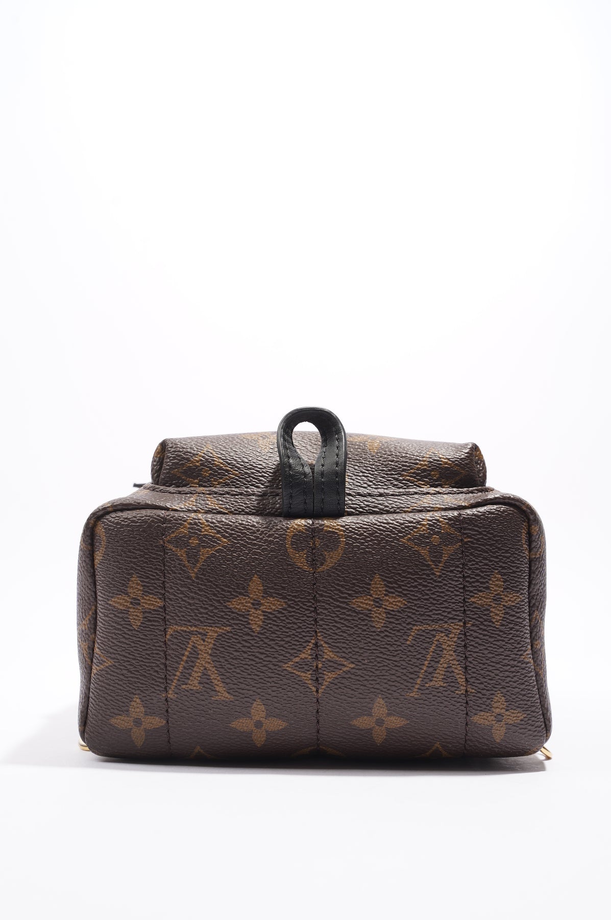 Louis Vuitton Palm Springs Mini Backpack Monogram Canvas – Luxe Collective
