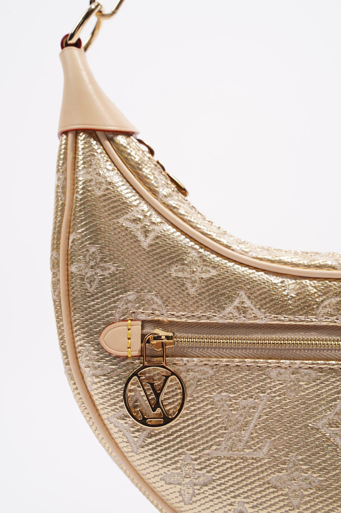 Louis Vuitton Loop Monogram Reverse hobo bag