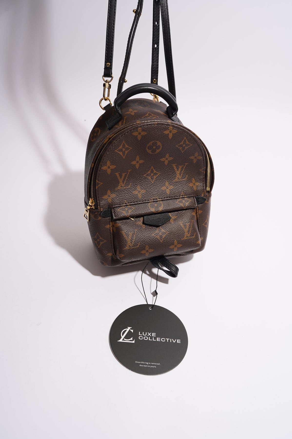 Louis Vuitton Womens Palm Spring Bag Monogram Canvas Mini – Luxe