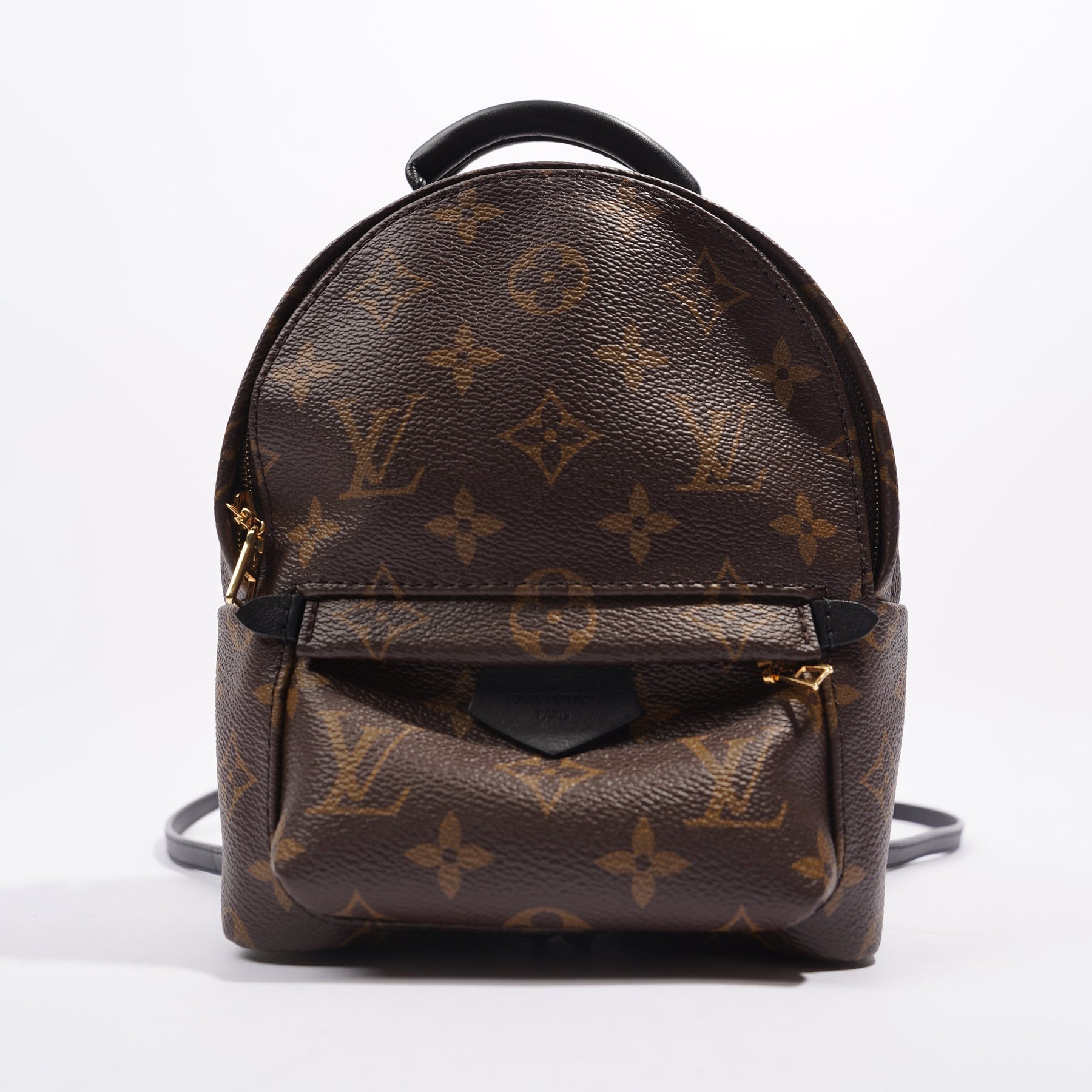 Louis Vuitton Palm Springs Mini Monogram