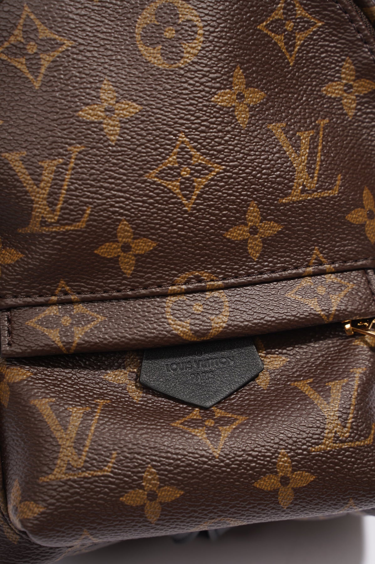 Louis Vuitton Palm Springs Mini Monogram