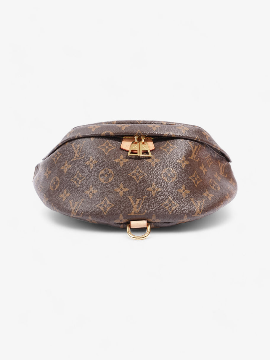 Louis vuitton bum bag monogram sale