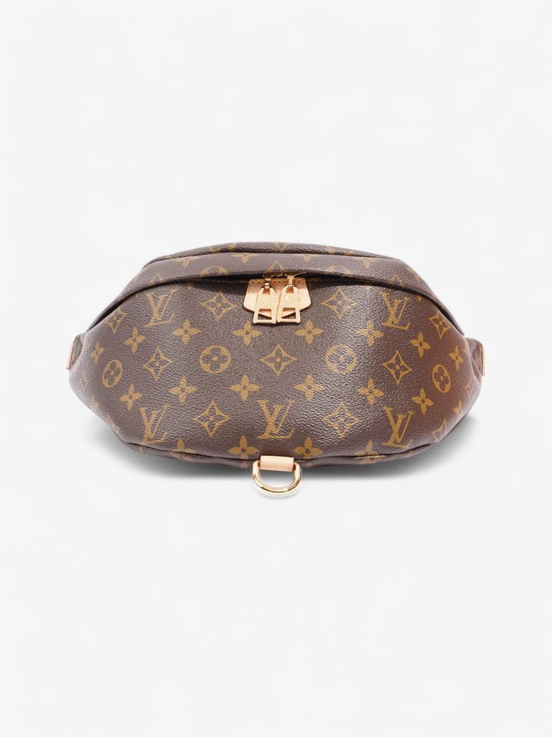  Louis Vuitton Bum Bag Monogram Coated Canvas