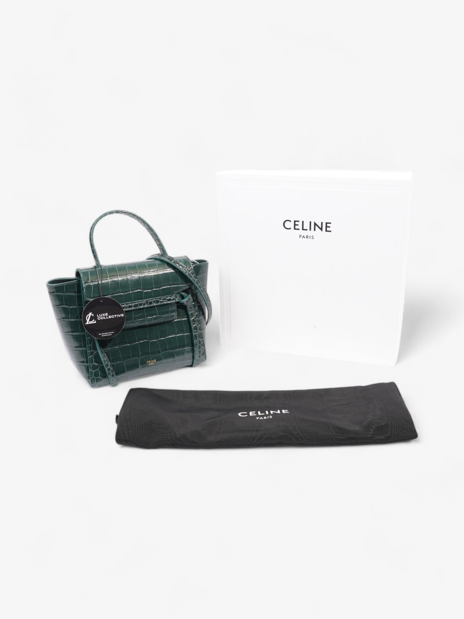 Celine Nano Belt bag Amazone Embossed Leather Image 8