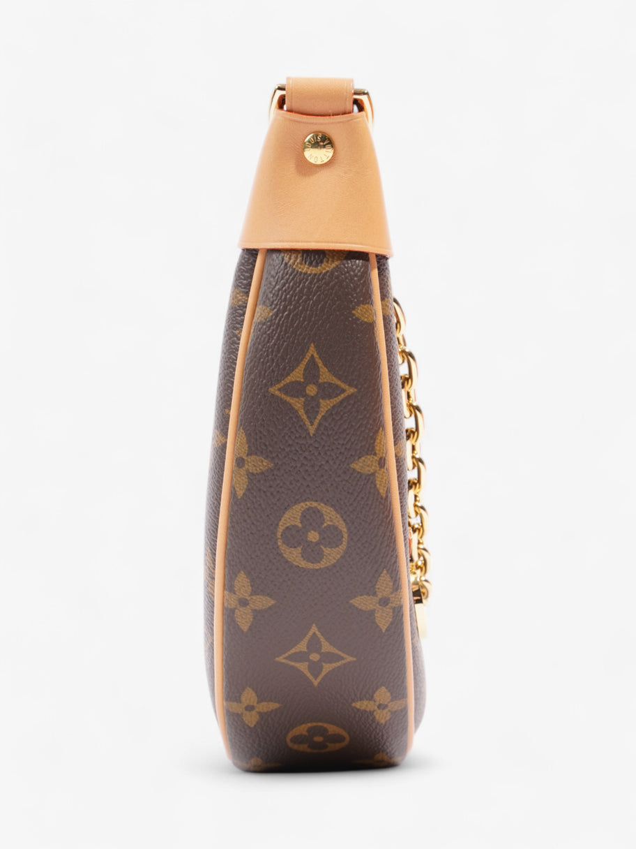 Louis Vuitton LV Monogram Loop bag Monogram Coated Canvas Image 5