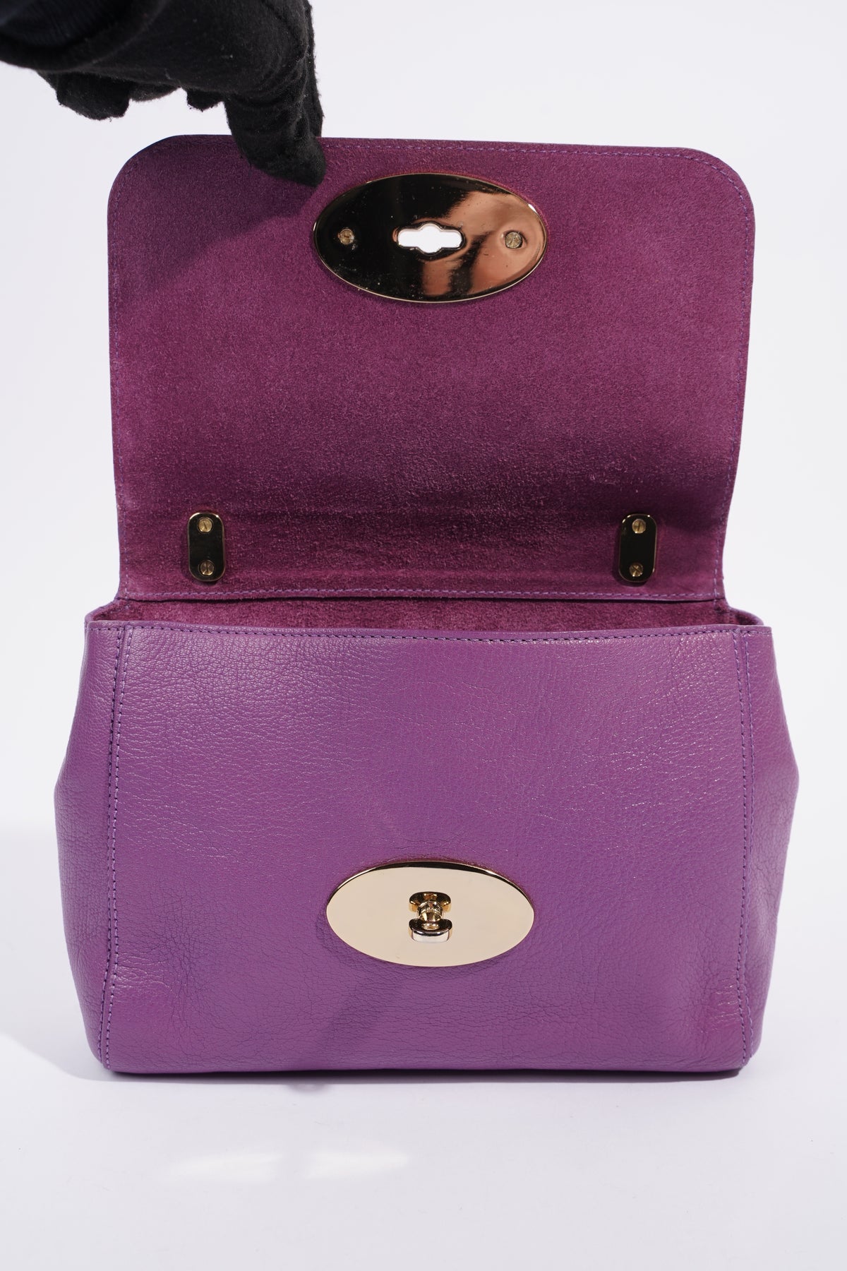Amazon.com: Purse Organizer for Mulberry Lily Bag Organizer, Mulberry Lily  Top Handle Insert, Small Lily Insert, Handmade 2mm Thick Premium Felt Snug  Sturdy Gold Zipper (For Medium Lily, Violet) : Handmade Products
