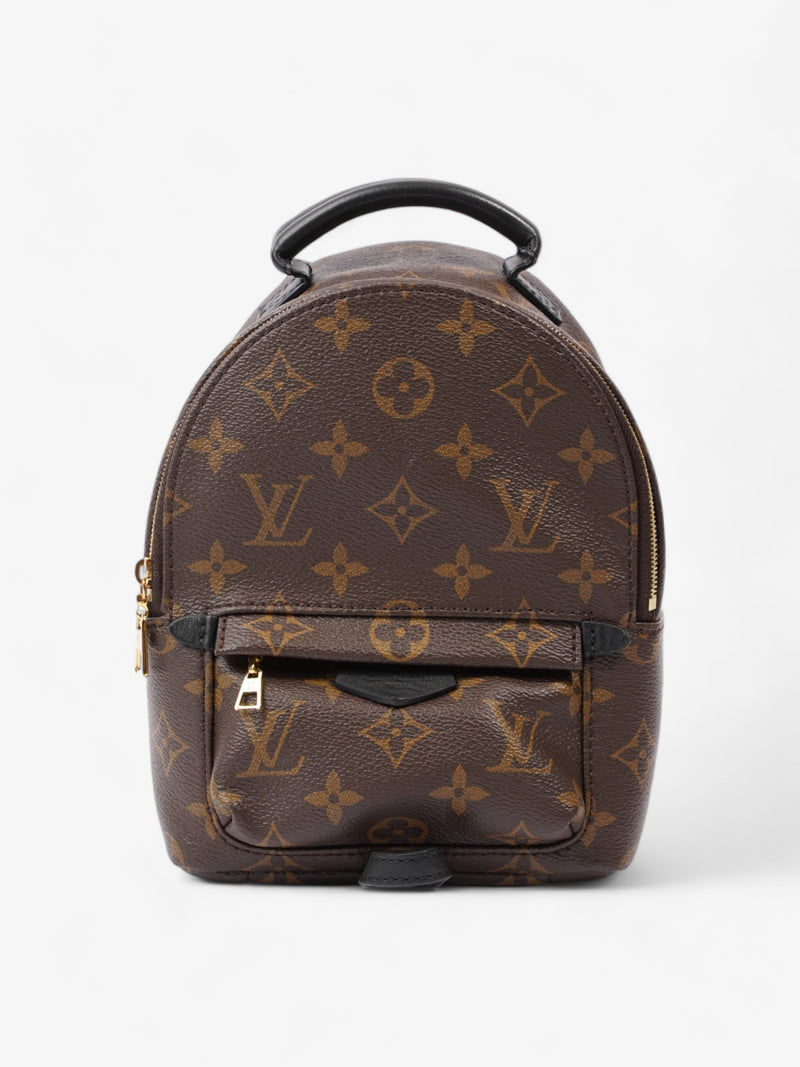  Louis Vuitton Palm Springs Monogram Coated Canvas Mini