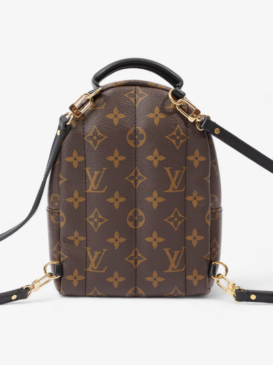 Louis Vuitton Palm Springs Monogram Coated Canvas Mini Image 4