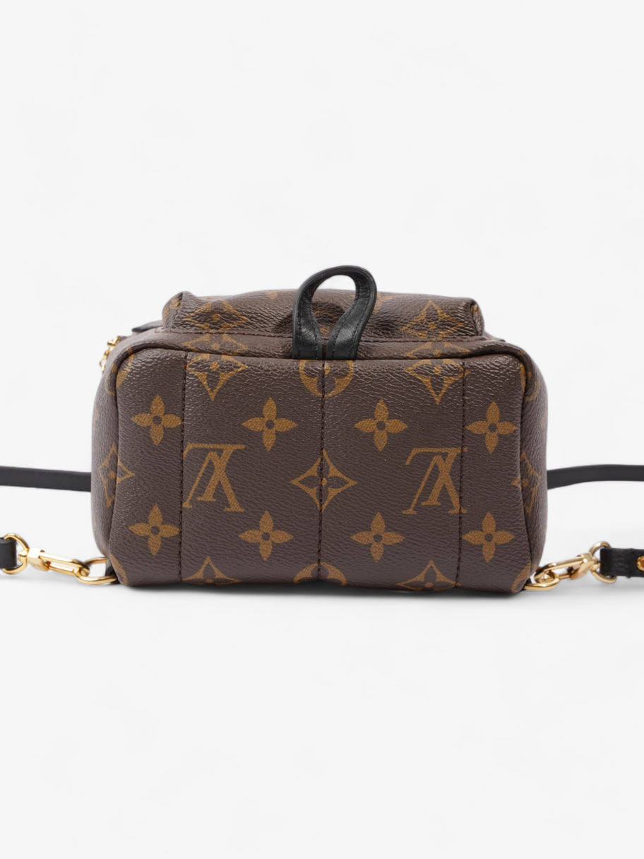 Louis Vuitton Palm Springs Monogram Coated Canvas Mini Image 6