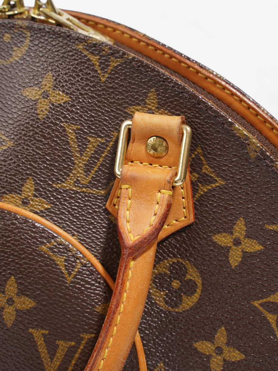 Louis Vuitton Ellipse Monogram Canvas PM Image 11