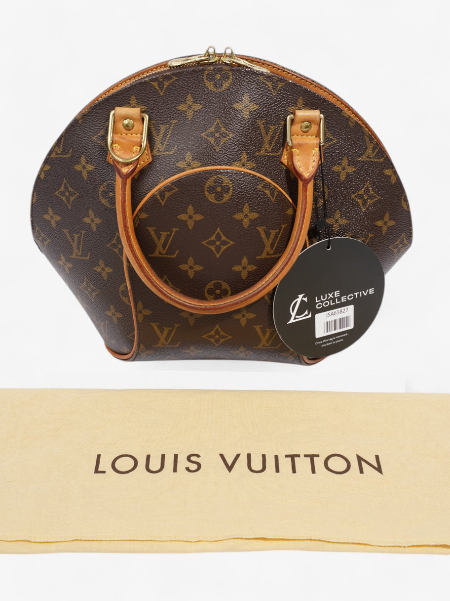 Louis Vuitton Ellipse Monogram Canvas PM Image 14